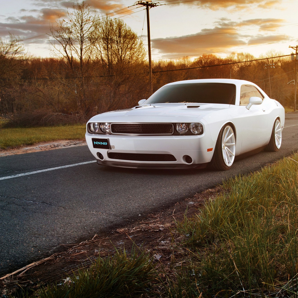 1024x1024 White Muscle Car 1024x1024 Resolution HD 4k Wallpapers ...