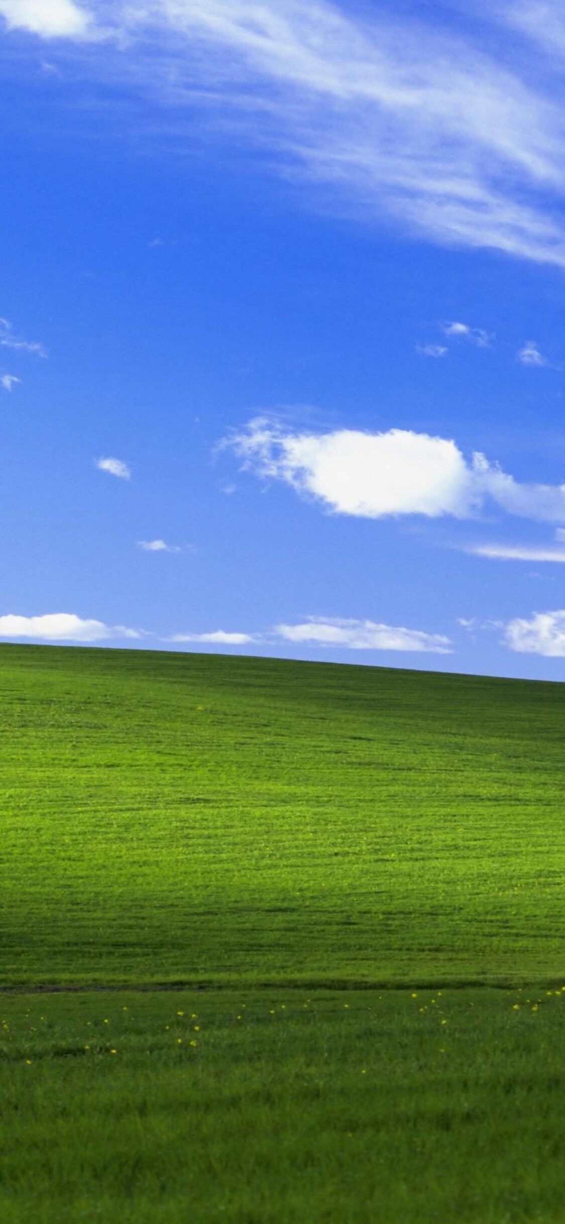 1125x2436 Windows Xp Bliss 4k Iphone XS,Iphone 10,Iphone X HD 4k Wallpapers,  Images, Backgrounds, Photos and Pictures