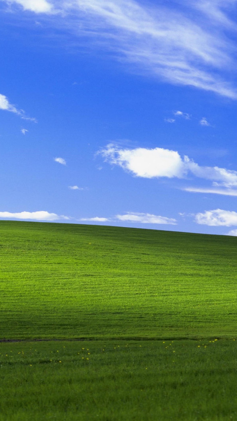 windows xp background original