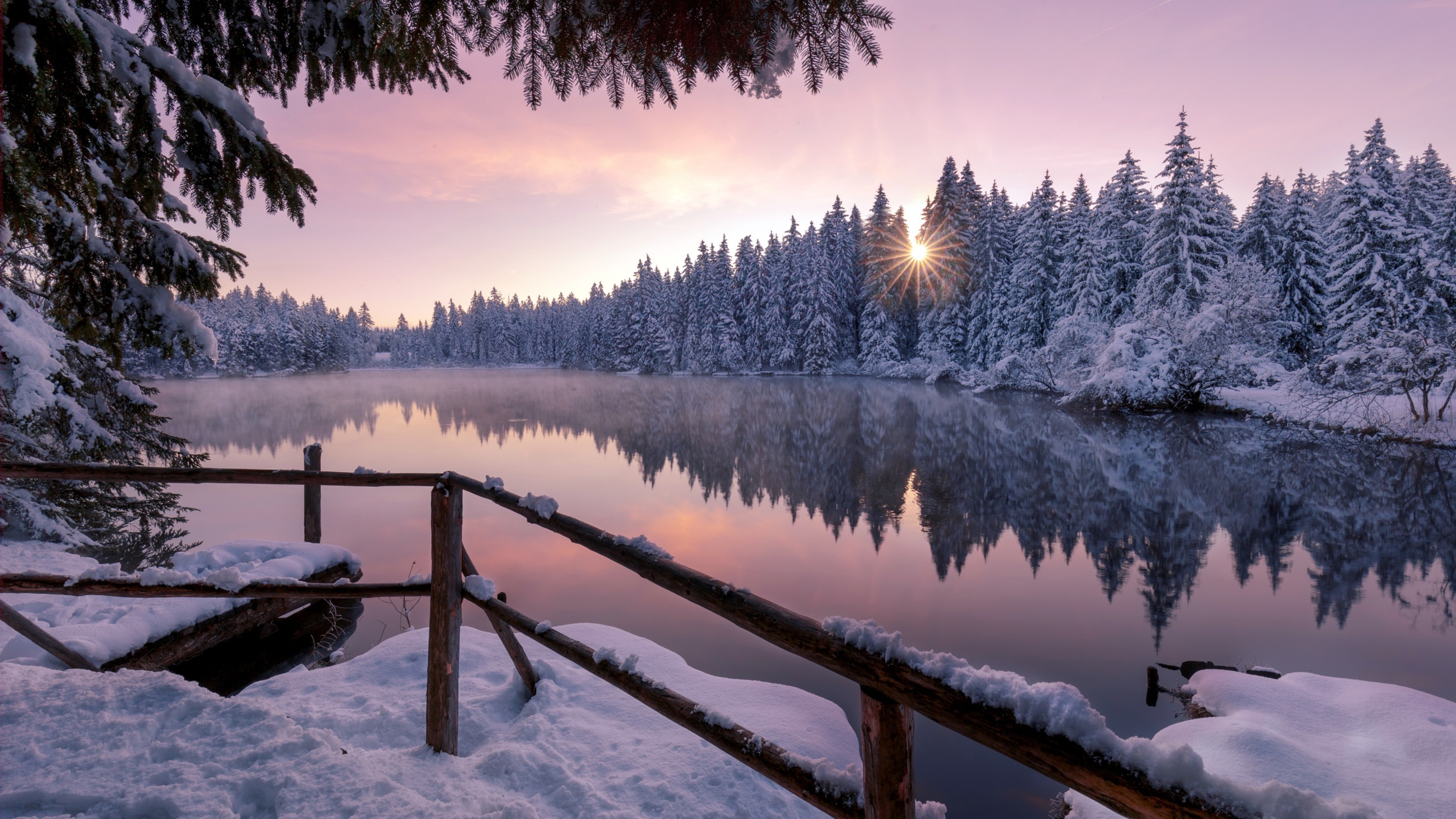 winter-sno​w-trees-na​ture-outdo​ors-ar-384​0x2160