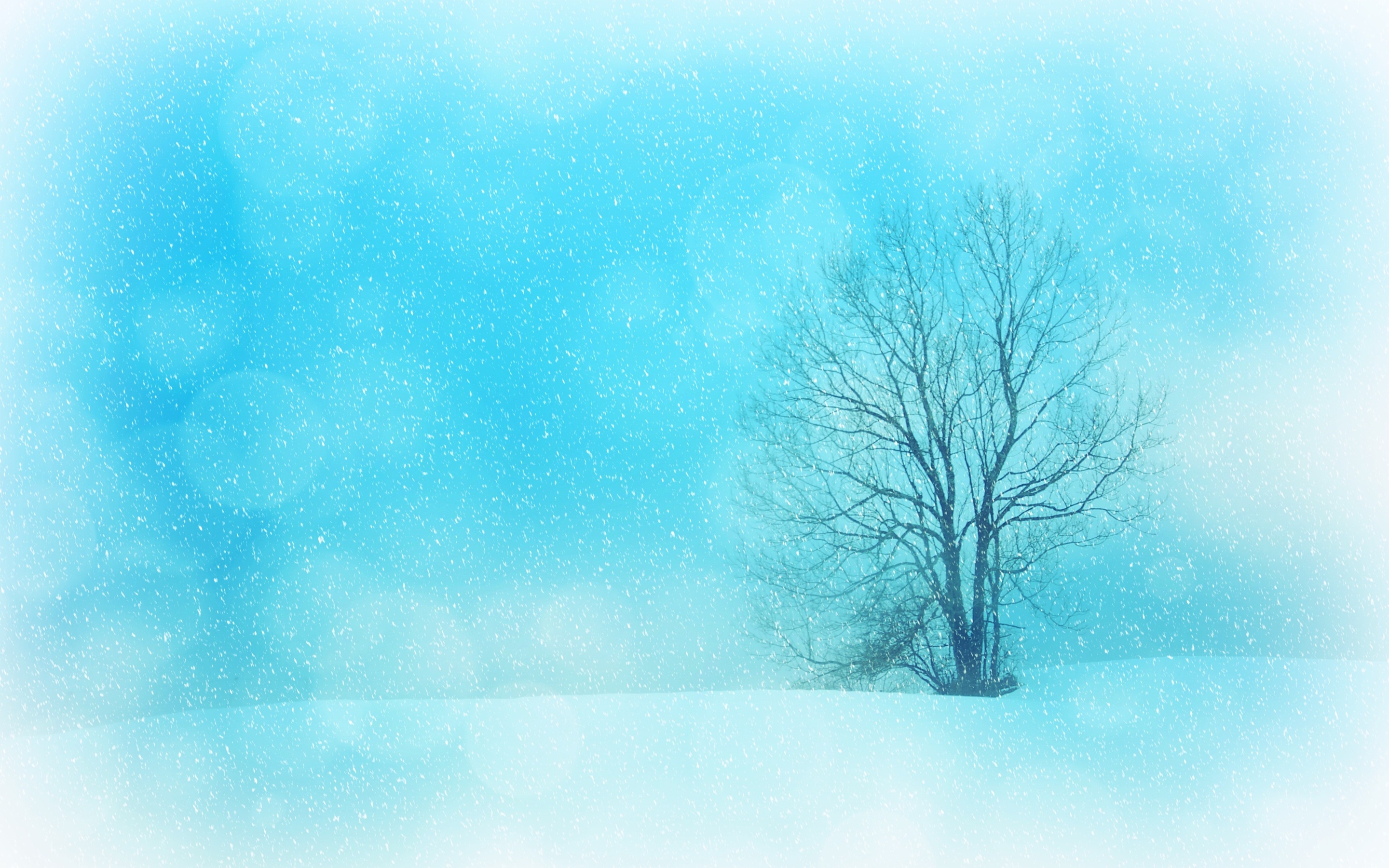 winter-snowflakes-tree-4k-rk.jpg