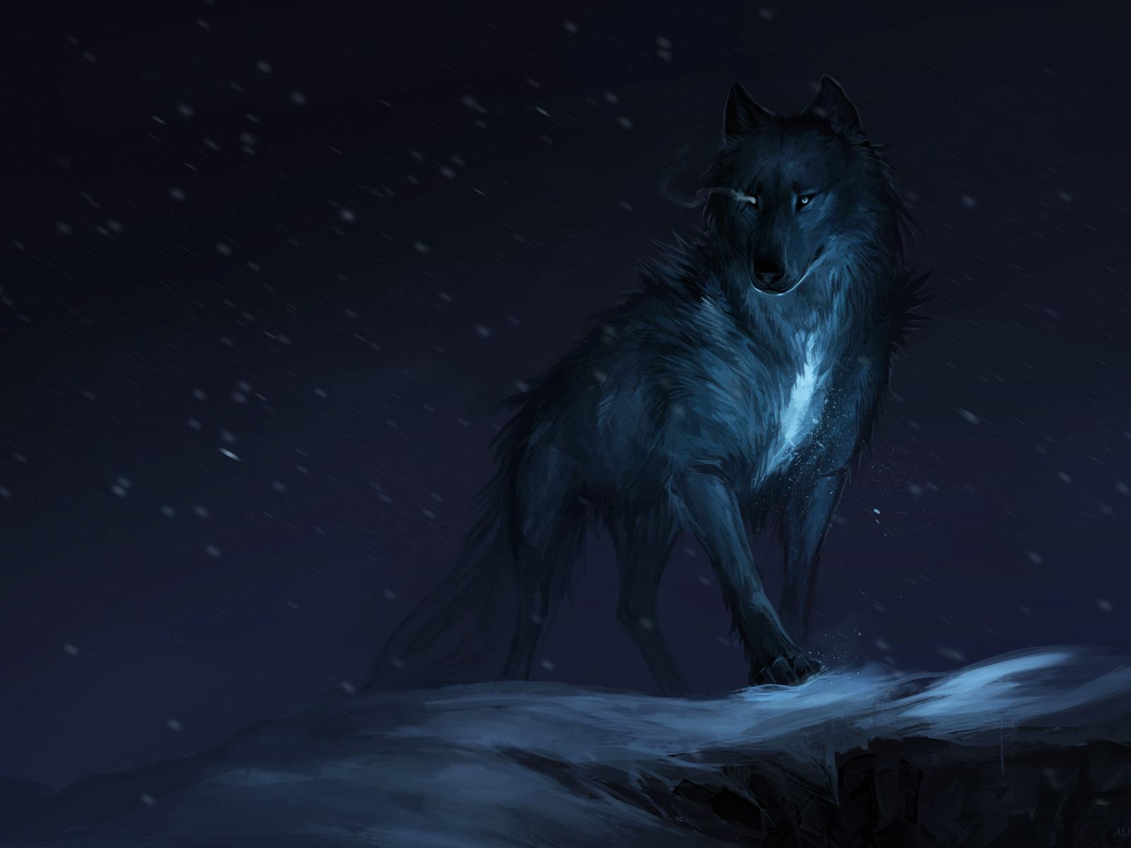 wolf-drawing-so.jpg