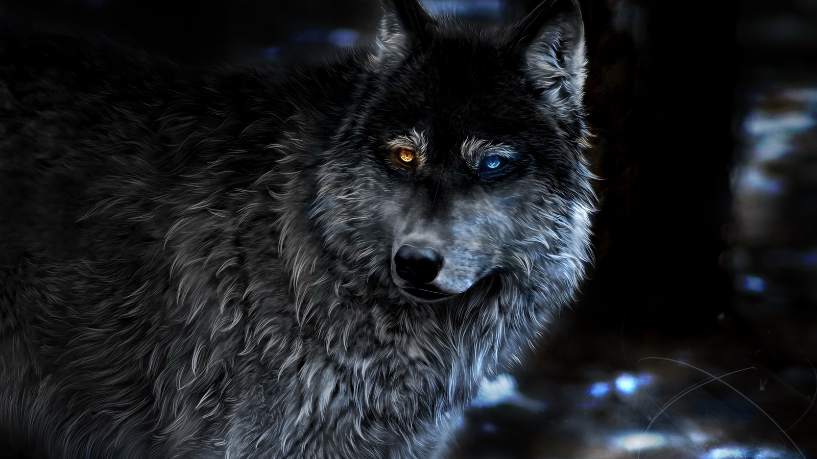 wolf-heterochromia-fantasy-3k.jpg