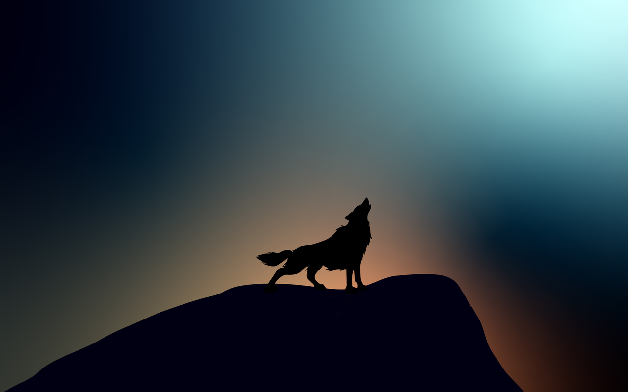 wolf-howling-4k-w7.jpg