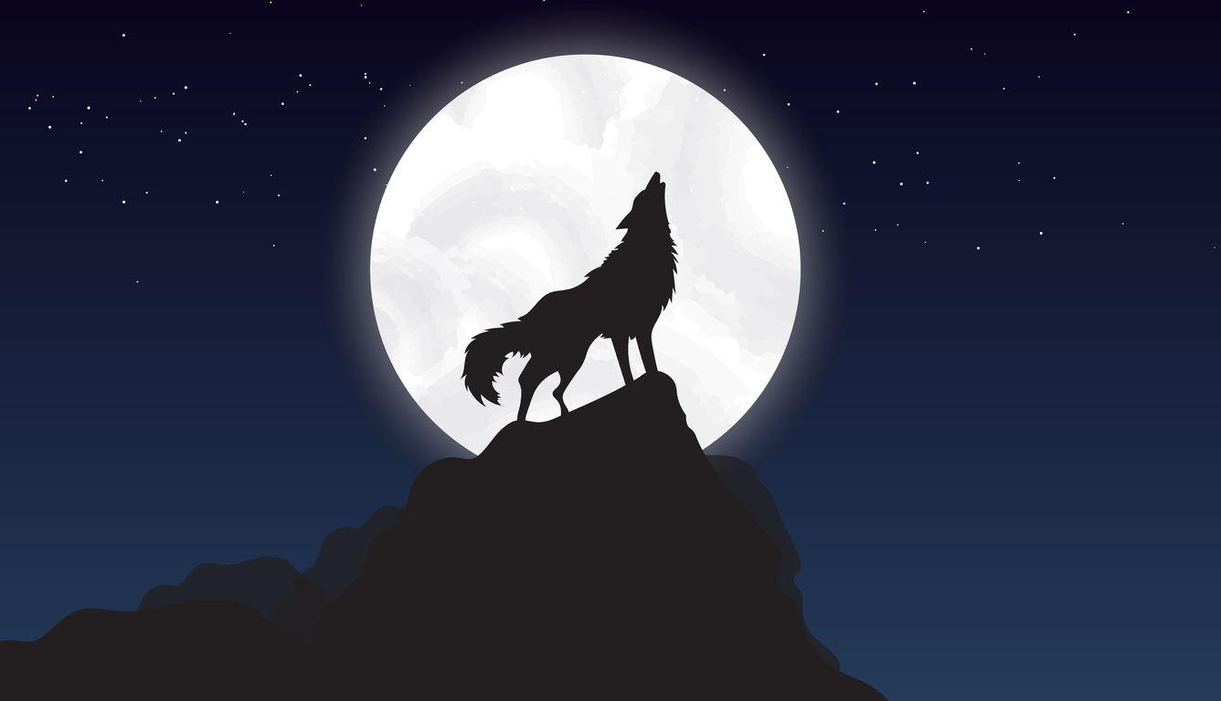 wolf-howling-night-illustration-j2.jpg