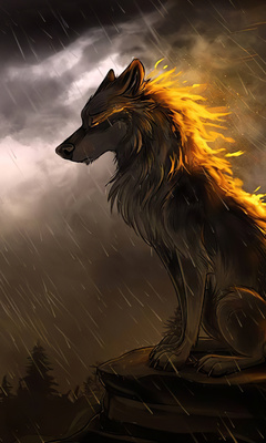 wolf-in-soothing-rain-4k-6u.jpg