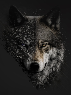 wolf-minimal-4k-ks.jpg