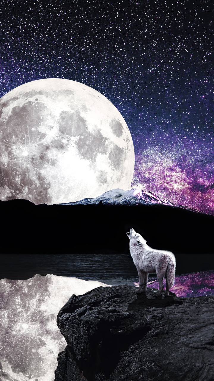720x1280 Wolf Moon River Moto G X Xperia Z1 Z3 Compact Galaxy S3 Note Ii Nexus Hd 4k Wallpapers Images Backgrounds Photos And Pictures