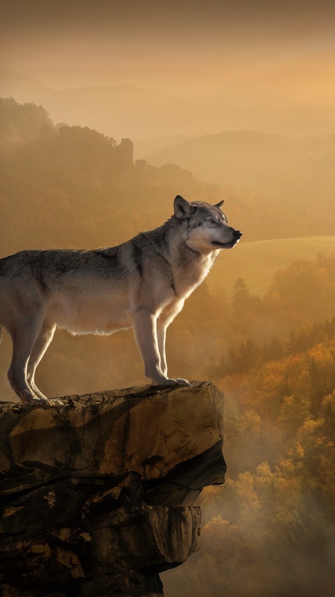 wolf-standing-on-edge-4k-fg.jpg