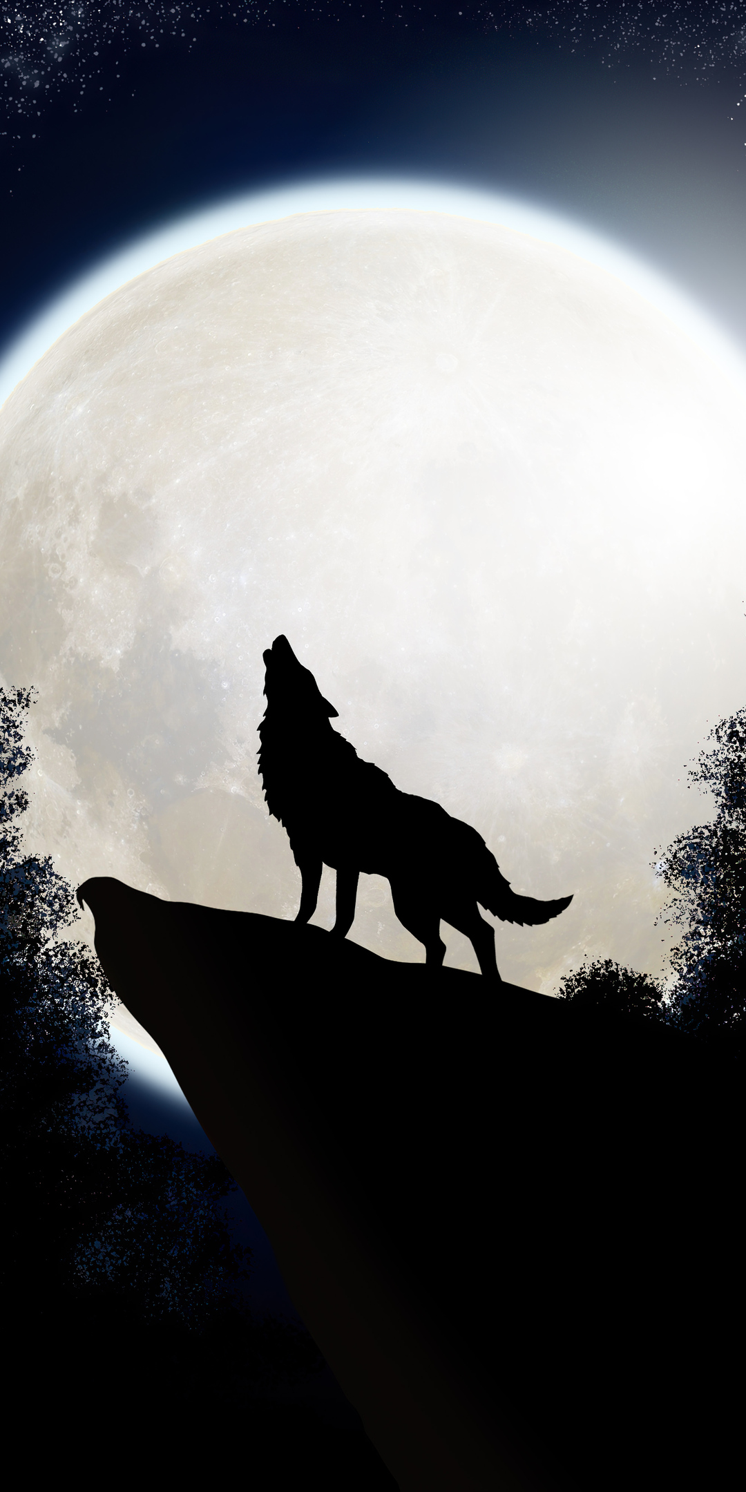 wolf-the-midnight-colf-6p.jpg