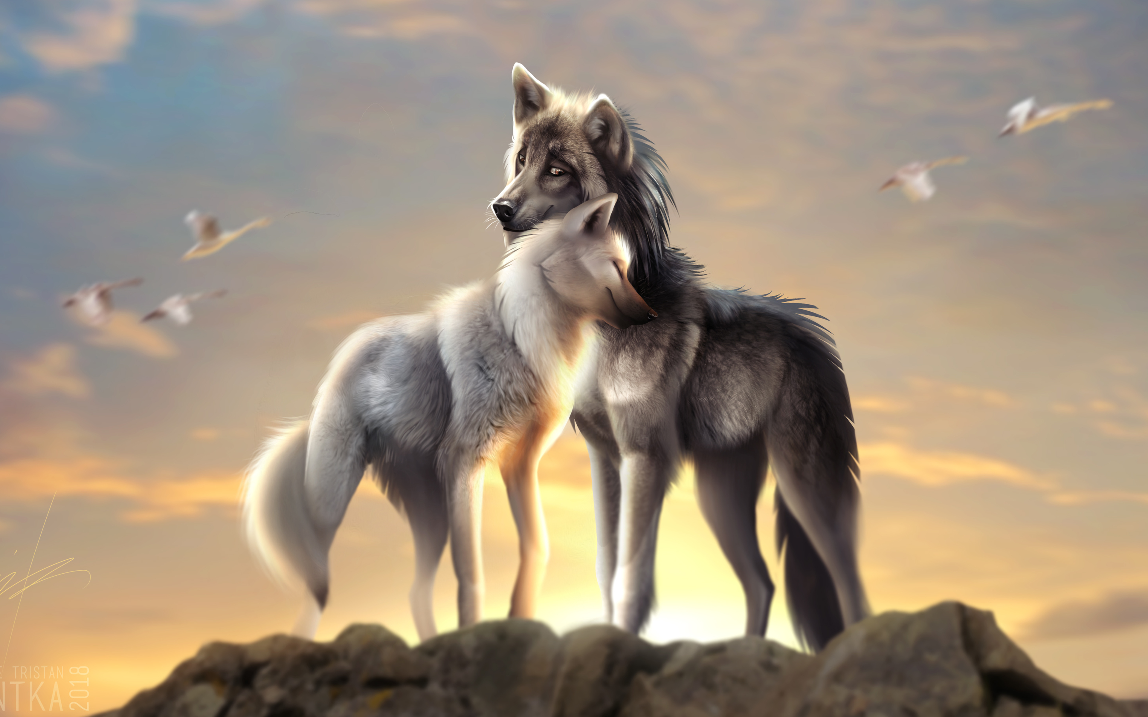 Красивые обои волки. Волк и волчица. Волки любовь. Красивый волк.