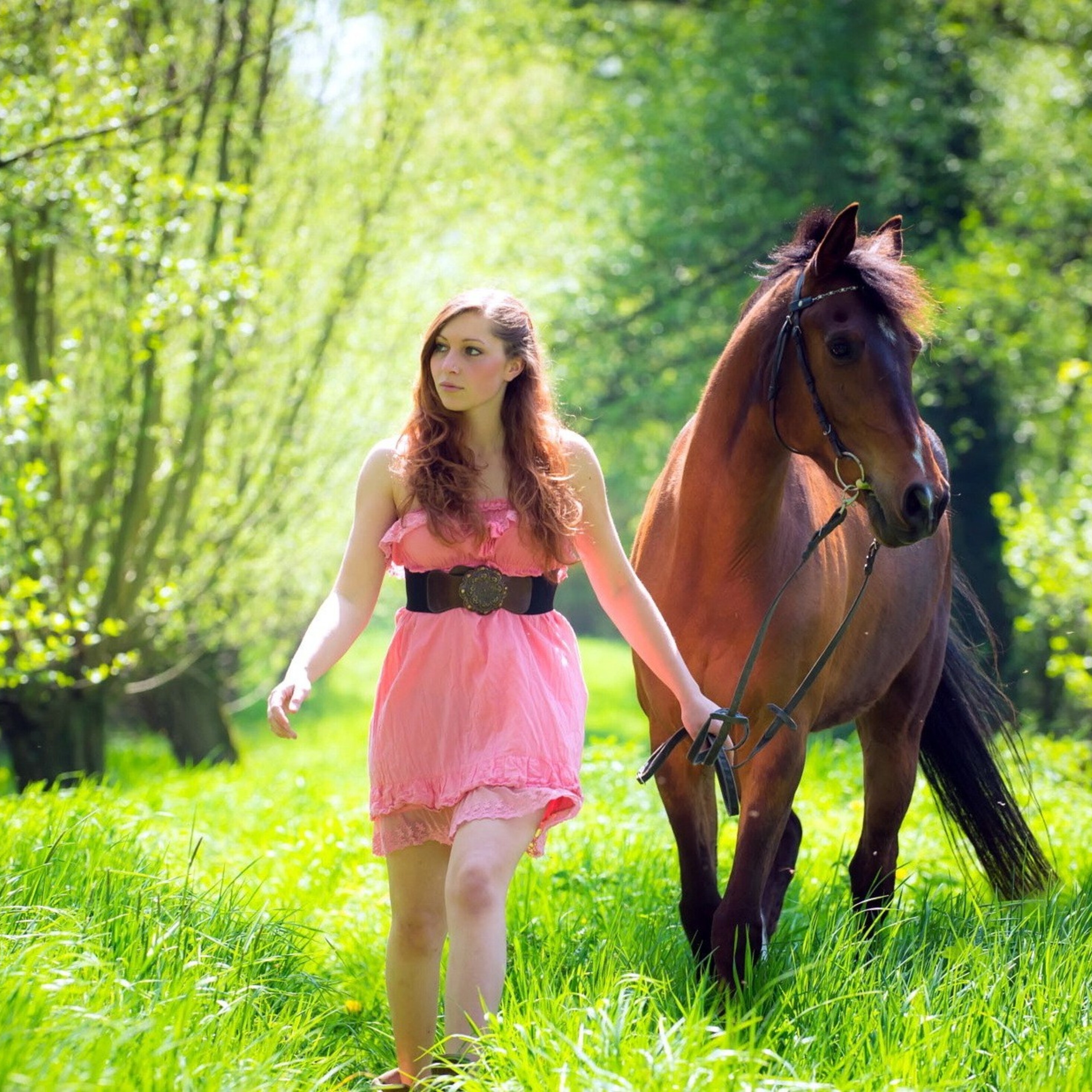 Лошадку ведет. Девушка с лошадью. Фотосессия с лошадью летом. Девочка на лошади. Девушка и конь лето.