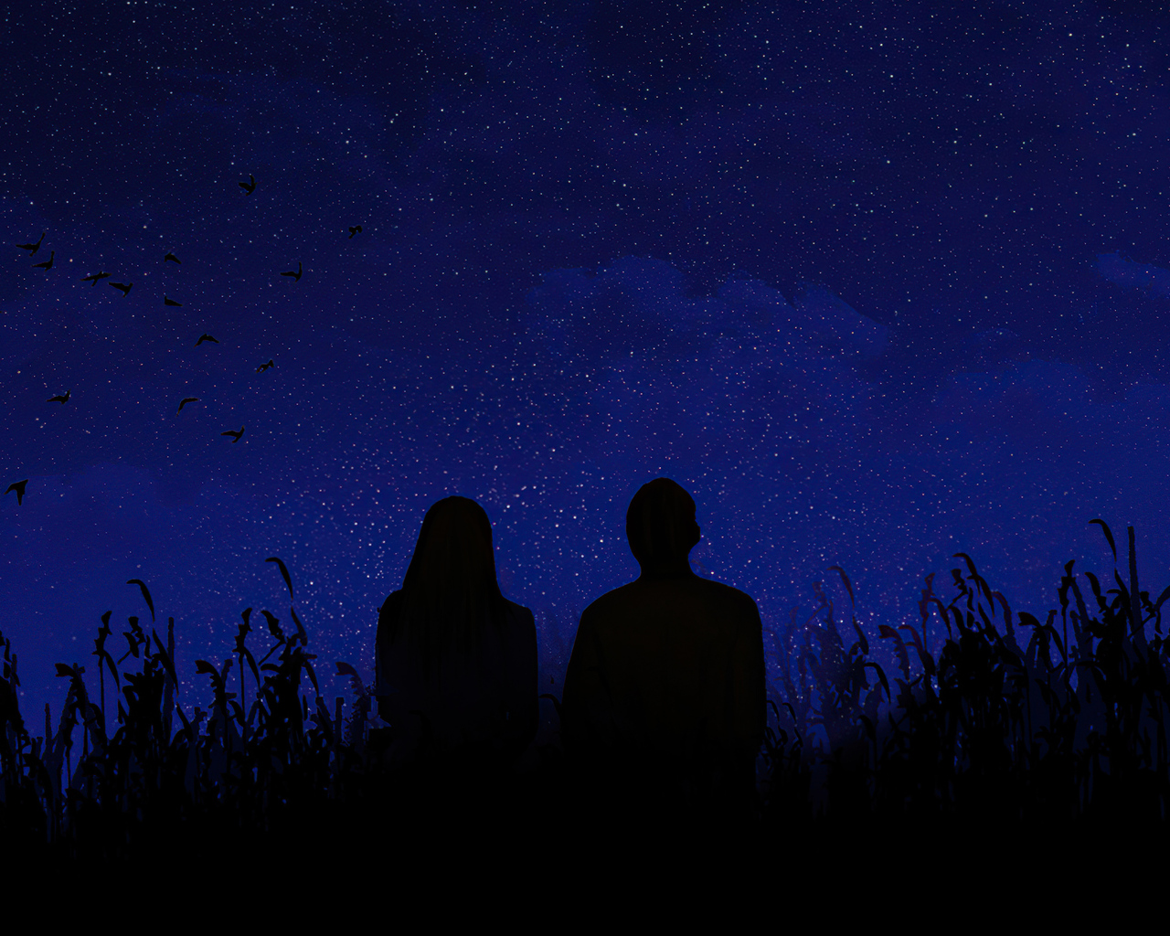 you-and-me-stargazing-zw.jpg