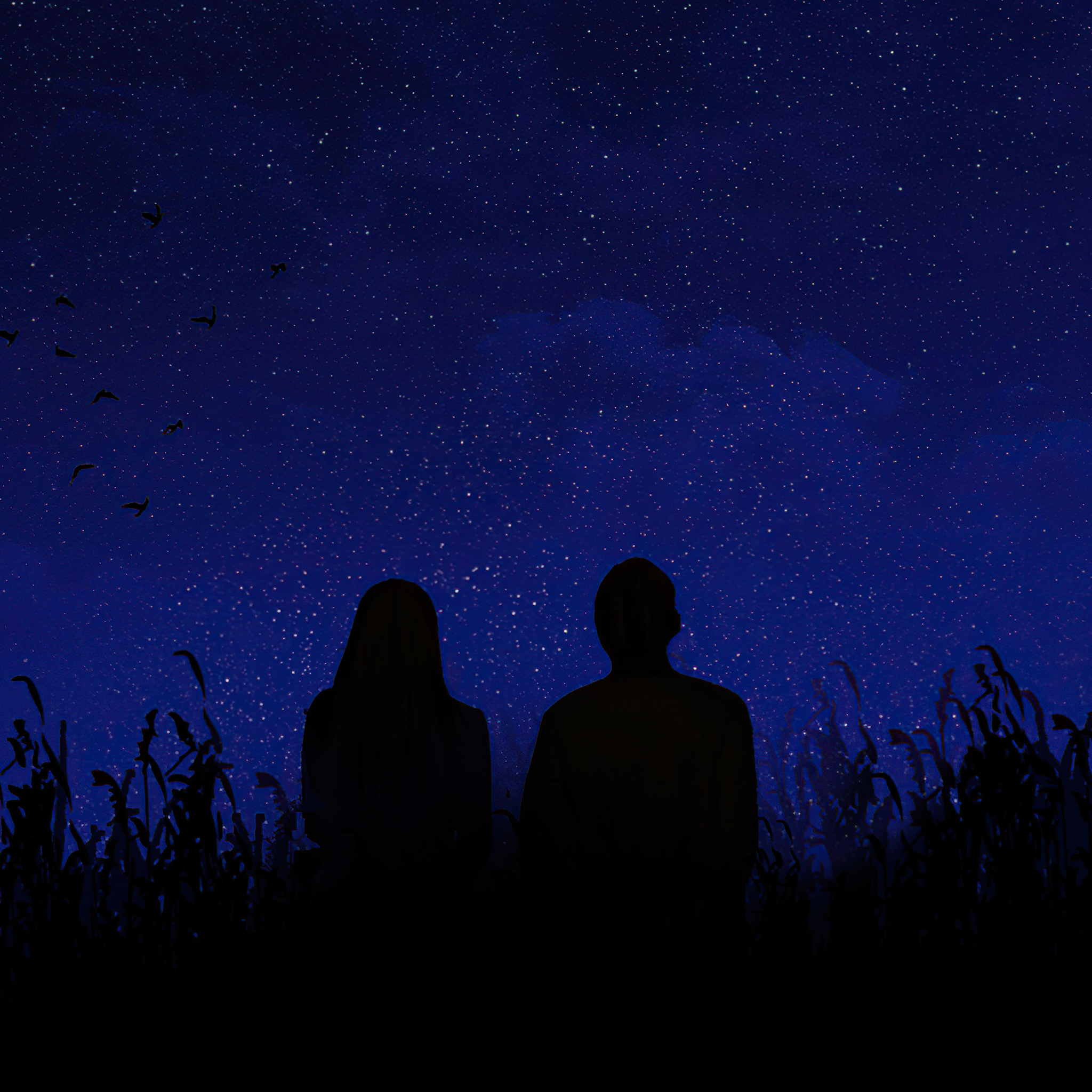 you-and-me-stargazing-zw.jpg