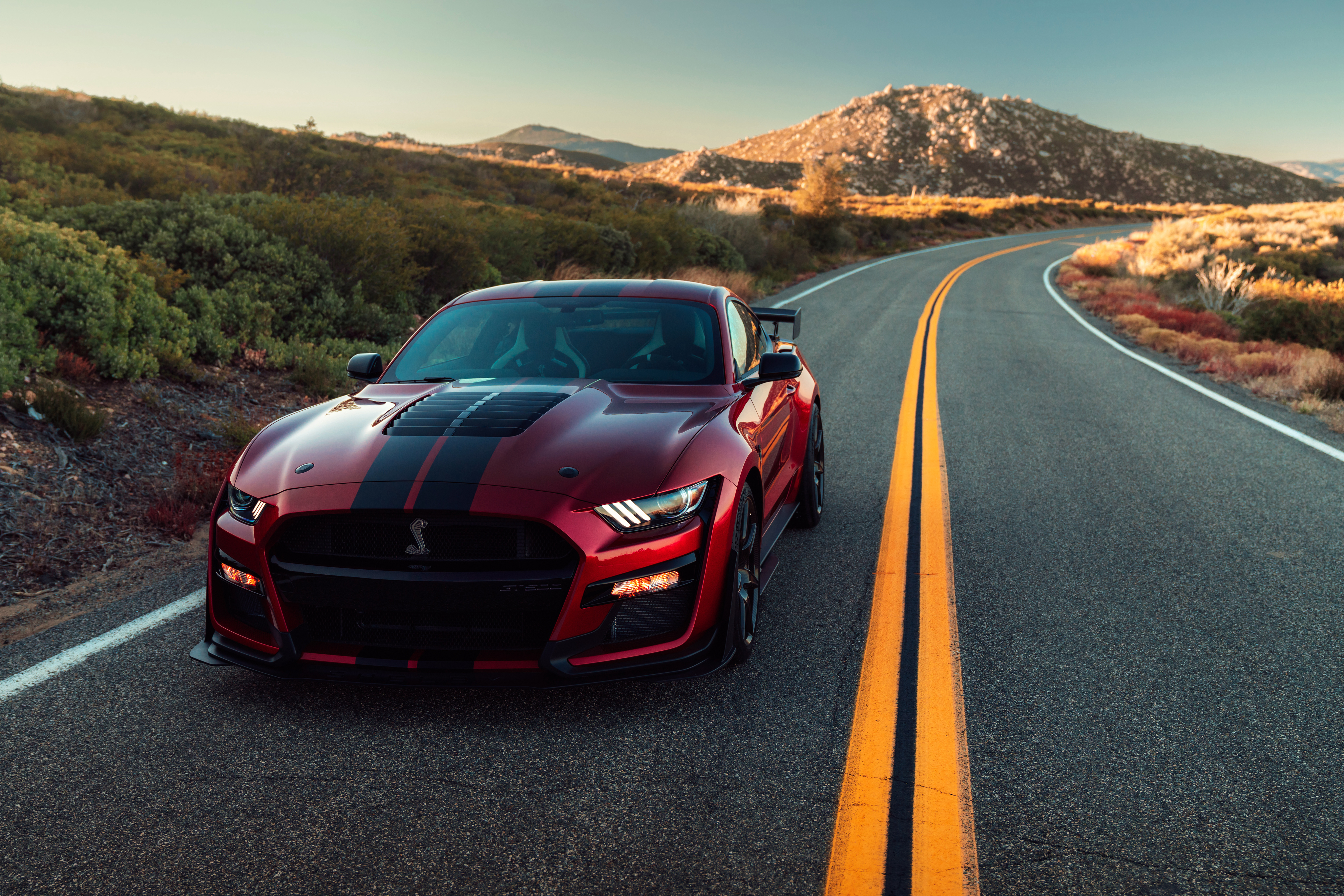 2020 Ford Mustang Shelby Gt500 4k Hd Cars 4k Wallpapers Images Backgrounds Photos And Pictures
