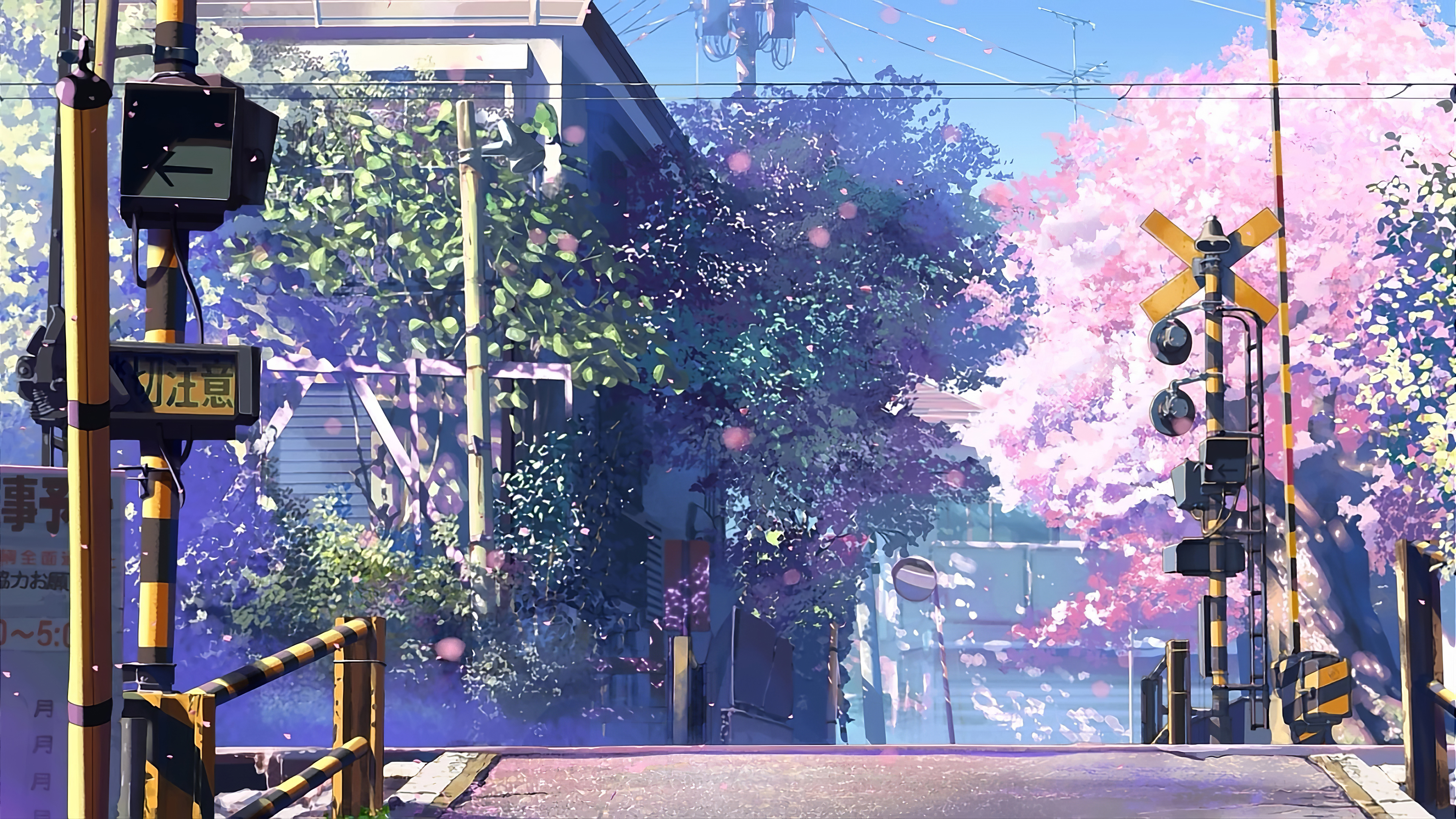 5 Centimeters Per Second Anime Tv Series 4k, HD Anime, 4k Wallpapers,  Images, Backgrounds, Photos and Pictures