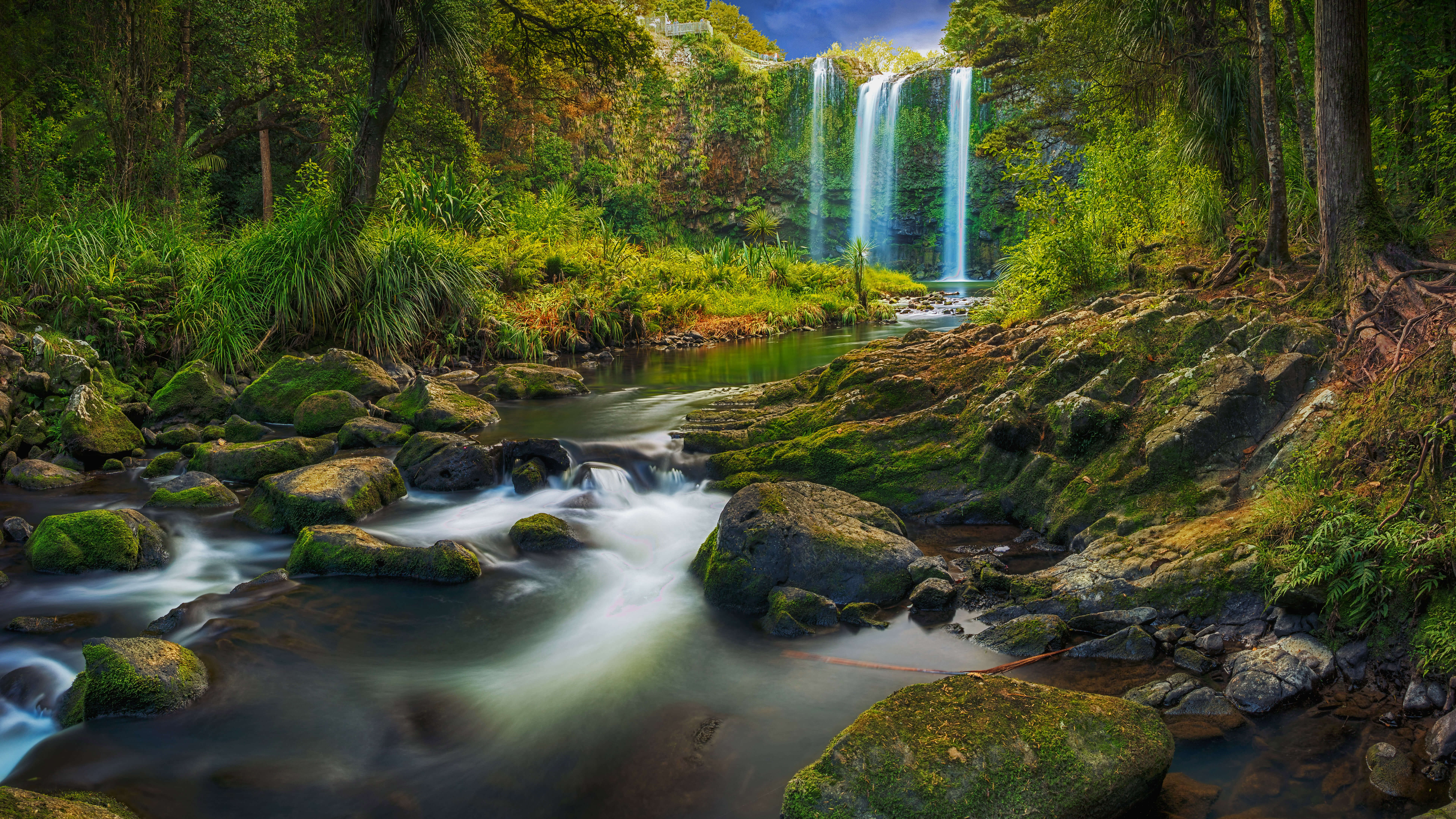 A Waterfall Flowing Through A Subtropical Forest 8k, HD Nature, 4k  Wallpapers, Images, Backgrounds, Photos and Pictures