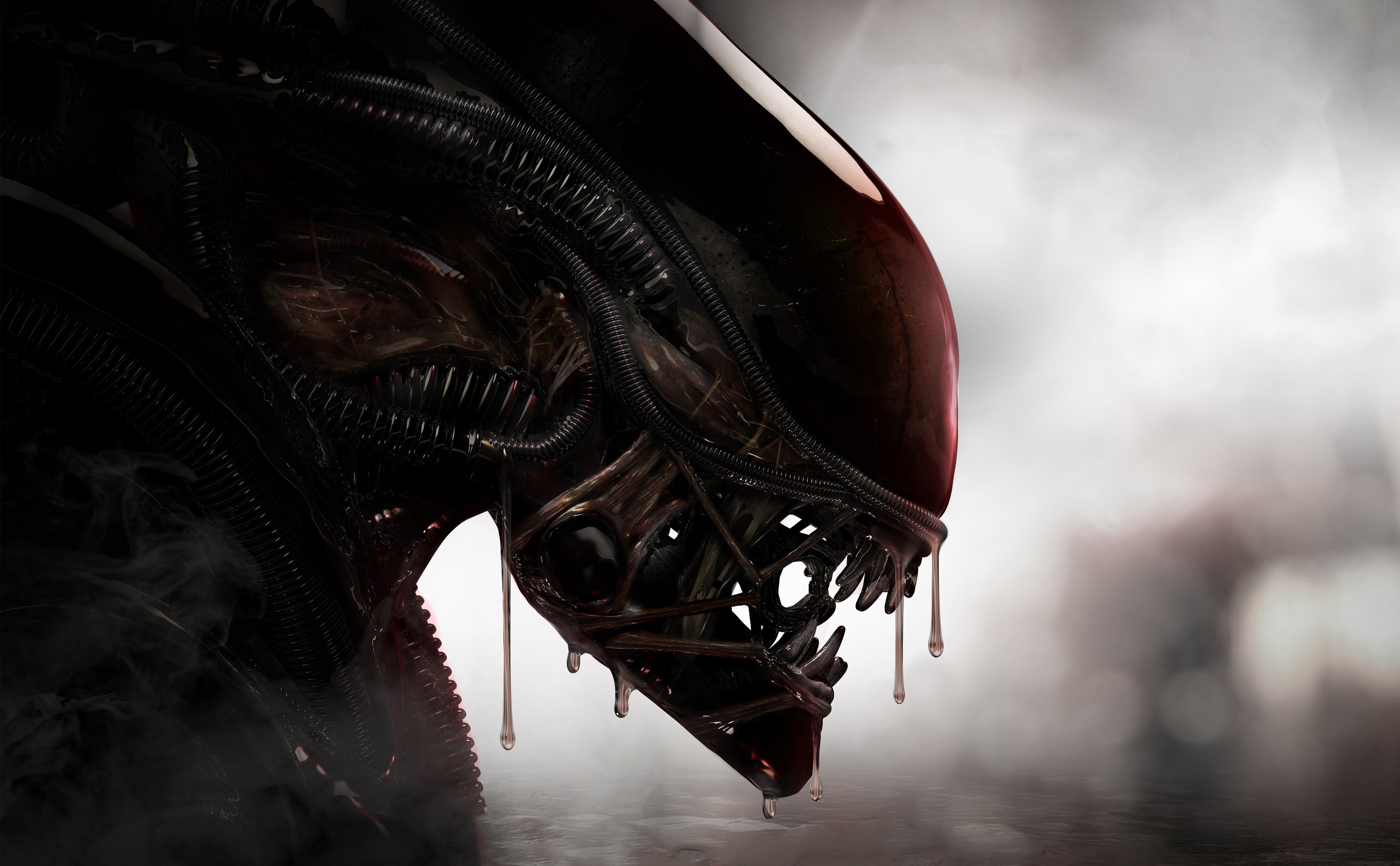 Aliens Xenomorph Creature 4k, HD Artist, 4k Wallpapers, Images,  Backgrounds, Photos and Pictures