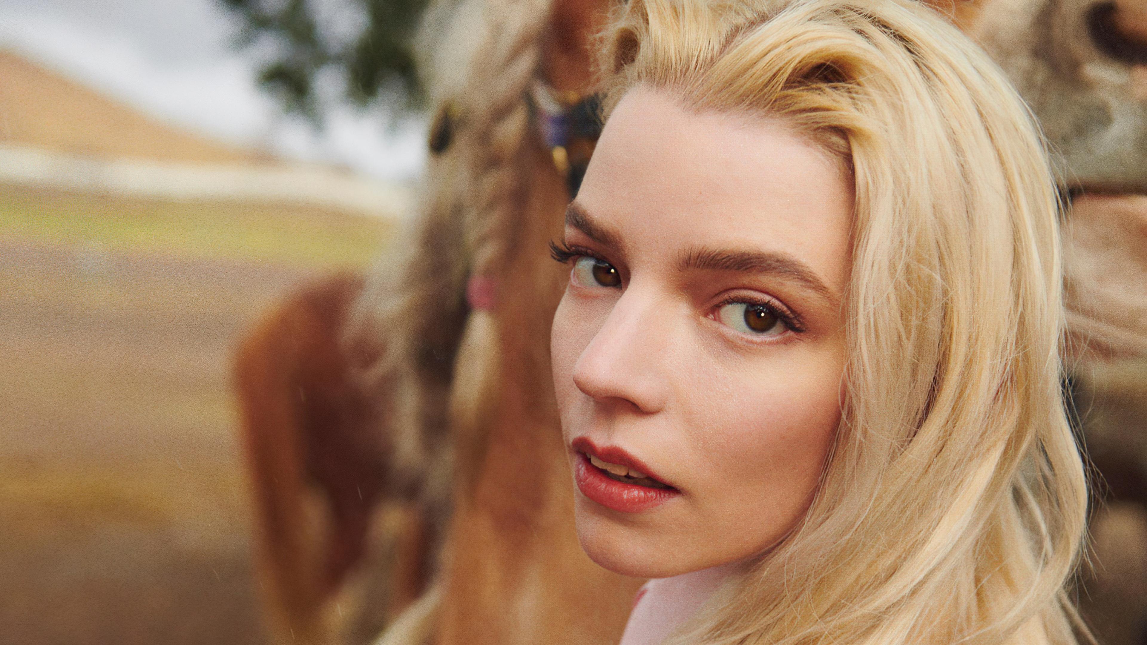 Celebrity Anya Taylor-Joy HD Wallpaper