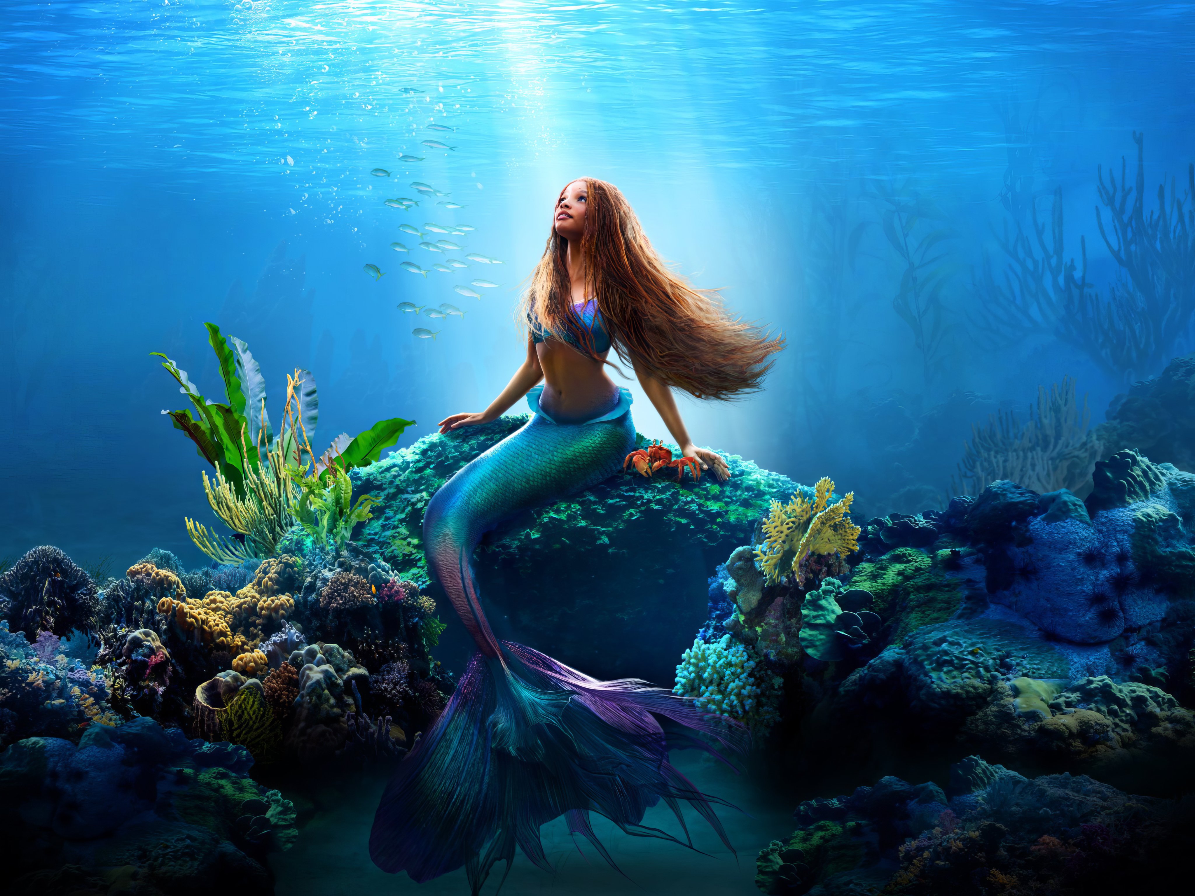 Ariel The Little Mermaid 4k Wallpaper,HD Movies Wallpapers,4k