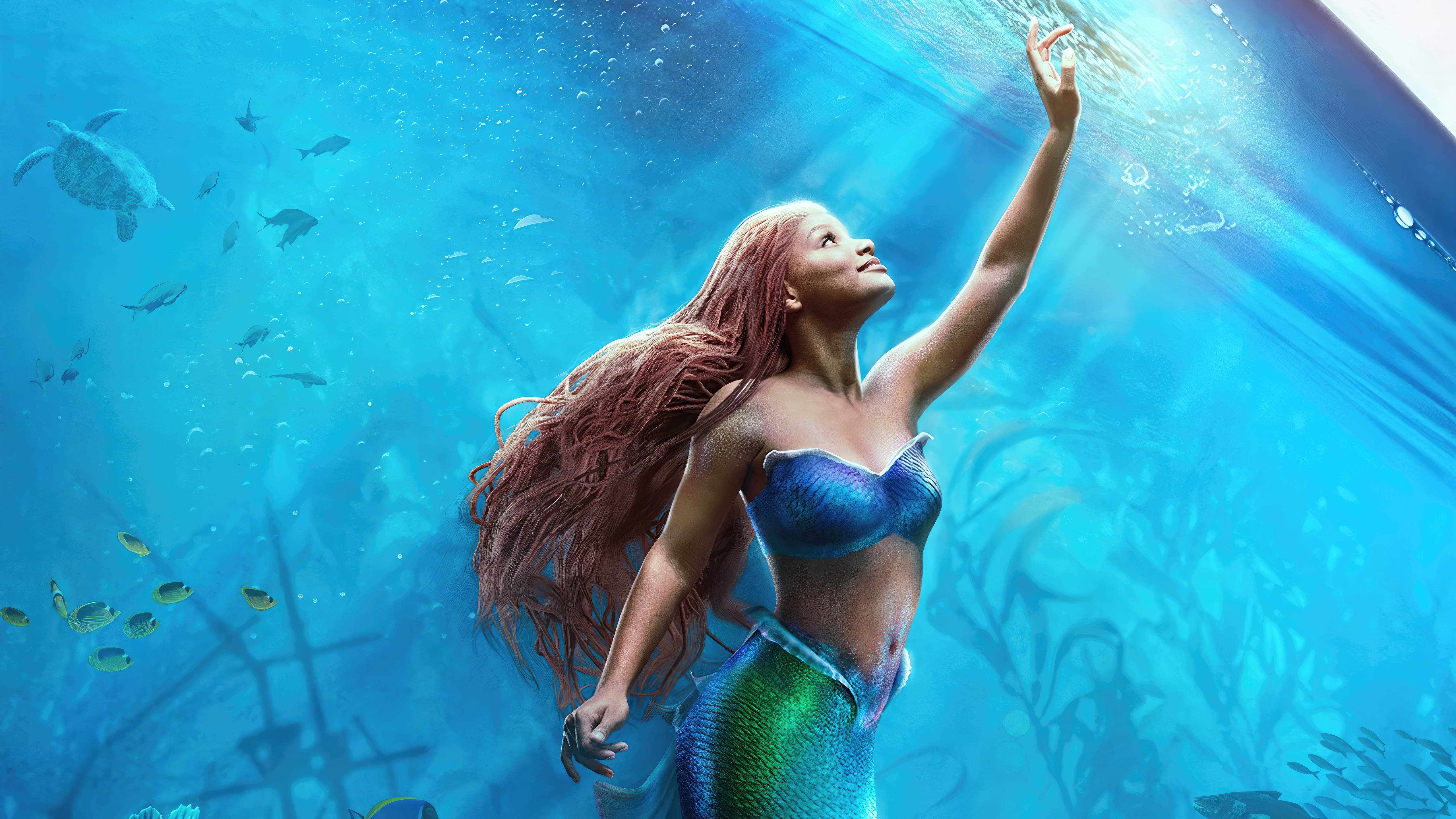 2023 The Little Mermaid 4k HD Movies 4k Wallpapers Images Backgrounds  Photos and Pictures