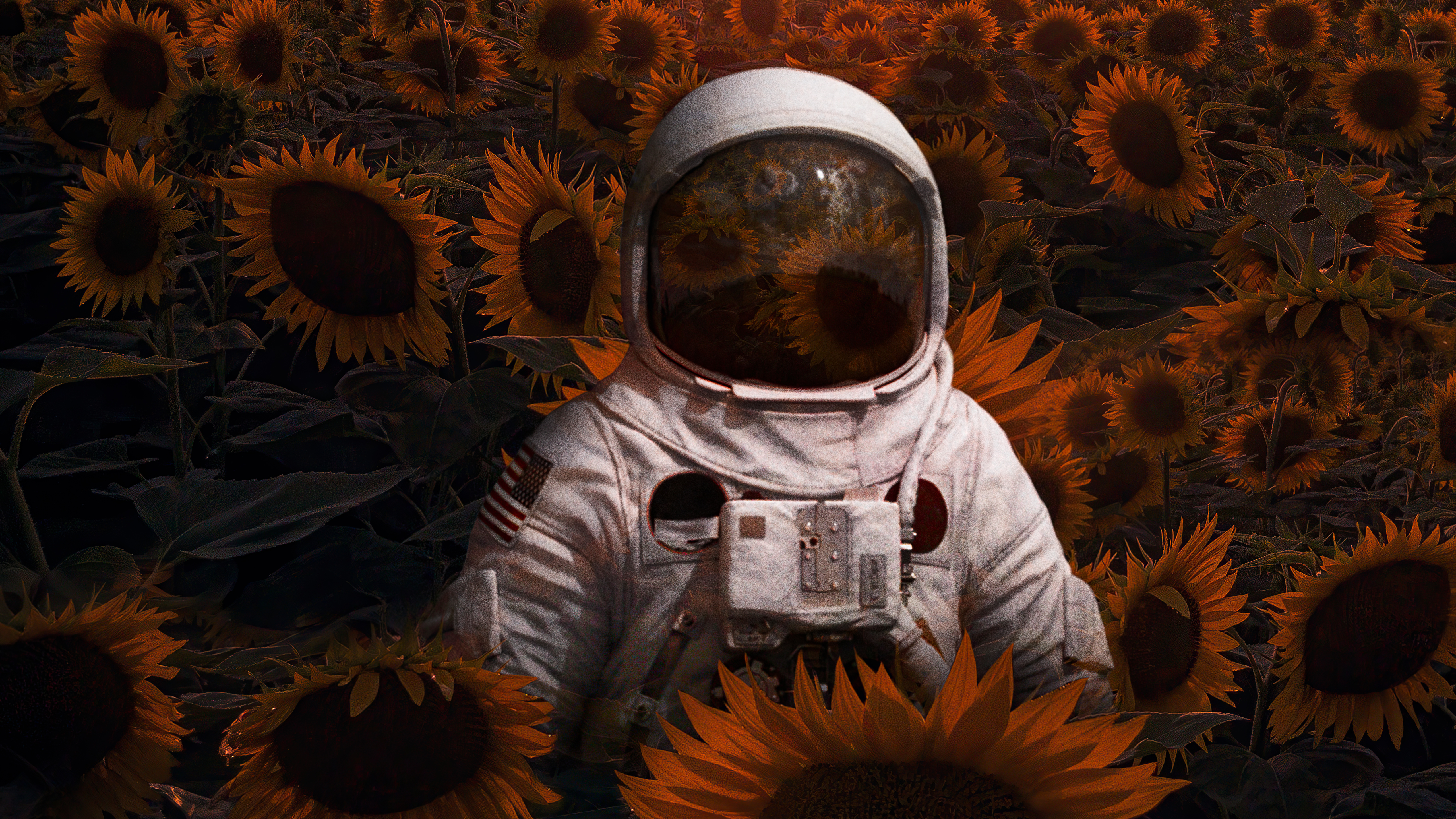 Astronaut In Sunflowers Field 4k, HD Artist, 4k Wallpapers, Images,  Backgrounds, Photos and Pictures