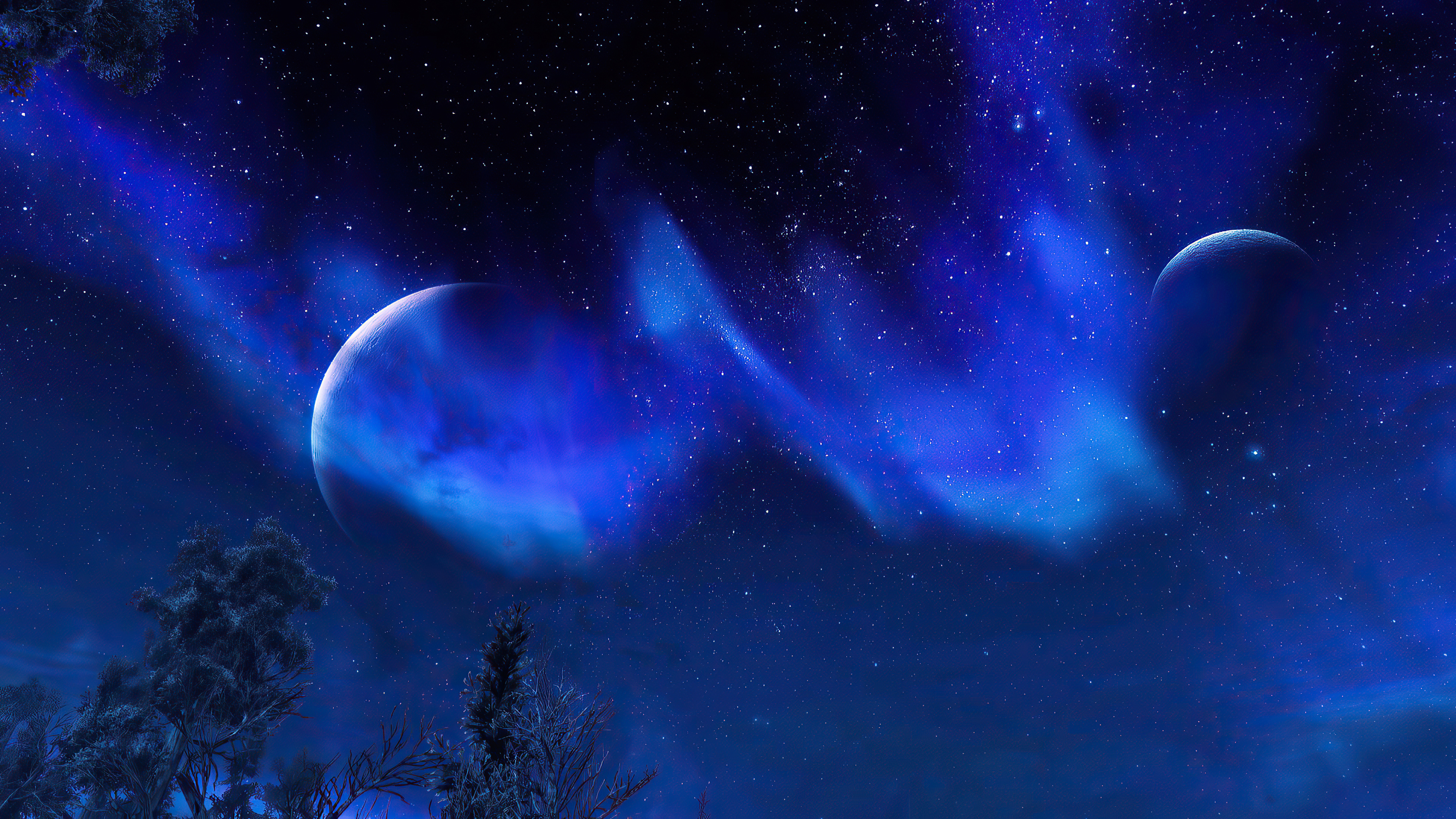 Aurora Night Sky Trees The Elder Scrolls V Skyrim 4k, HD Games, 4k  Wallpapers, Images, Backgrounds, Photos and Pictures