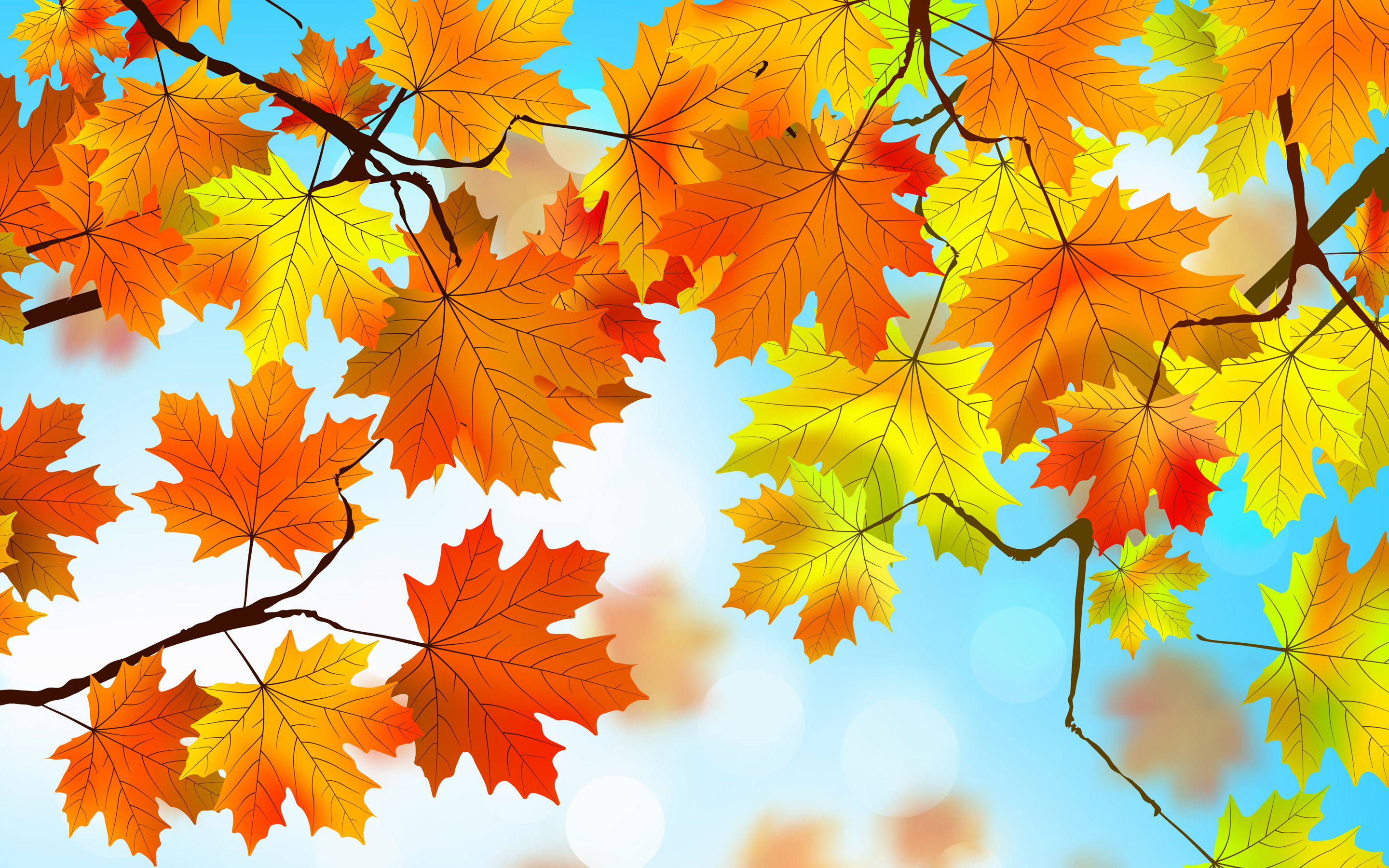 fall colors wallpaper