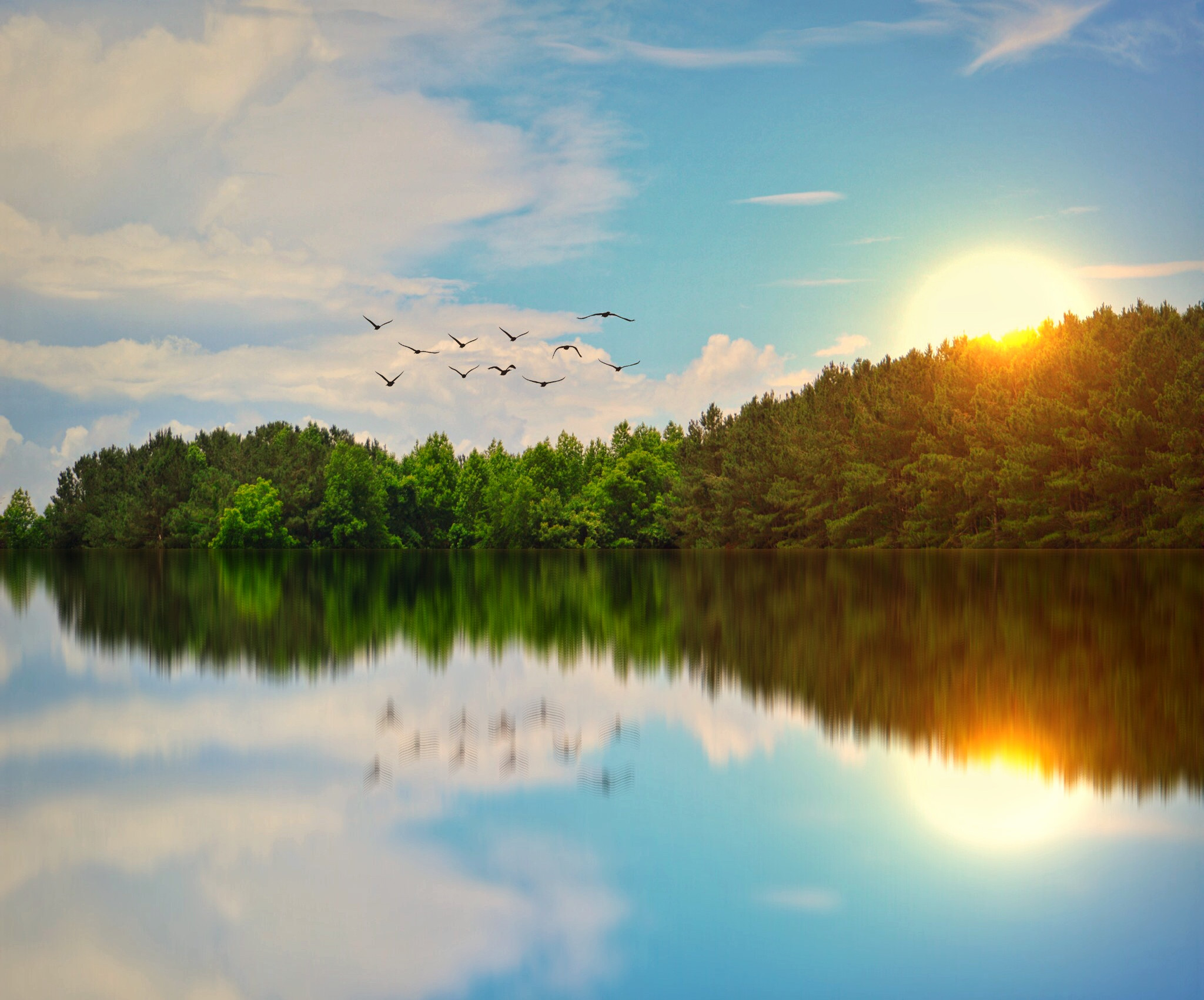 Beautiful Lake Birds Flying, HD Nature, 4k Wallpapers, Images, Backgrounds,  Photos and Pictures