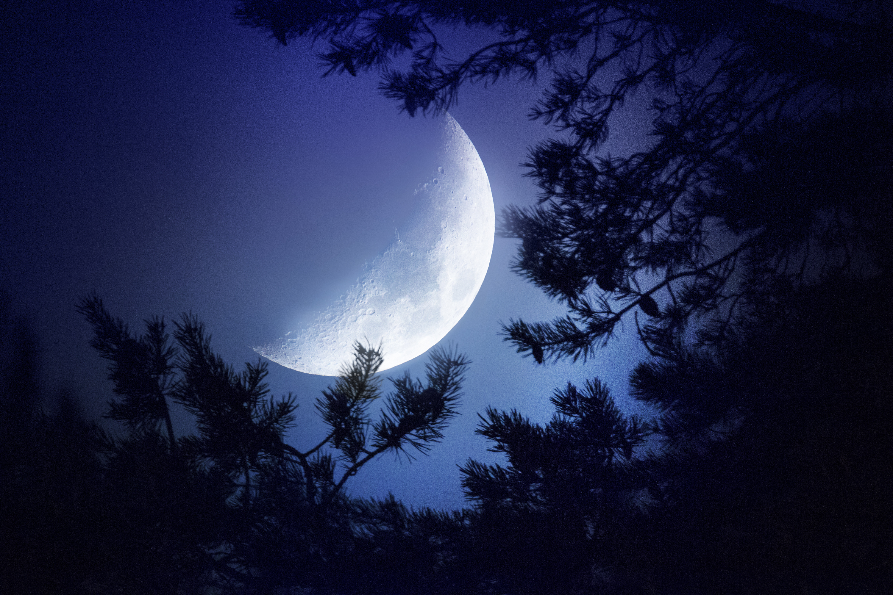 Big Moon Dark Night, HD Nature, 4k Wallpapers, Images, Backgrounds, Photos  and Pictures
