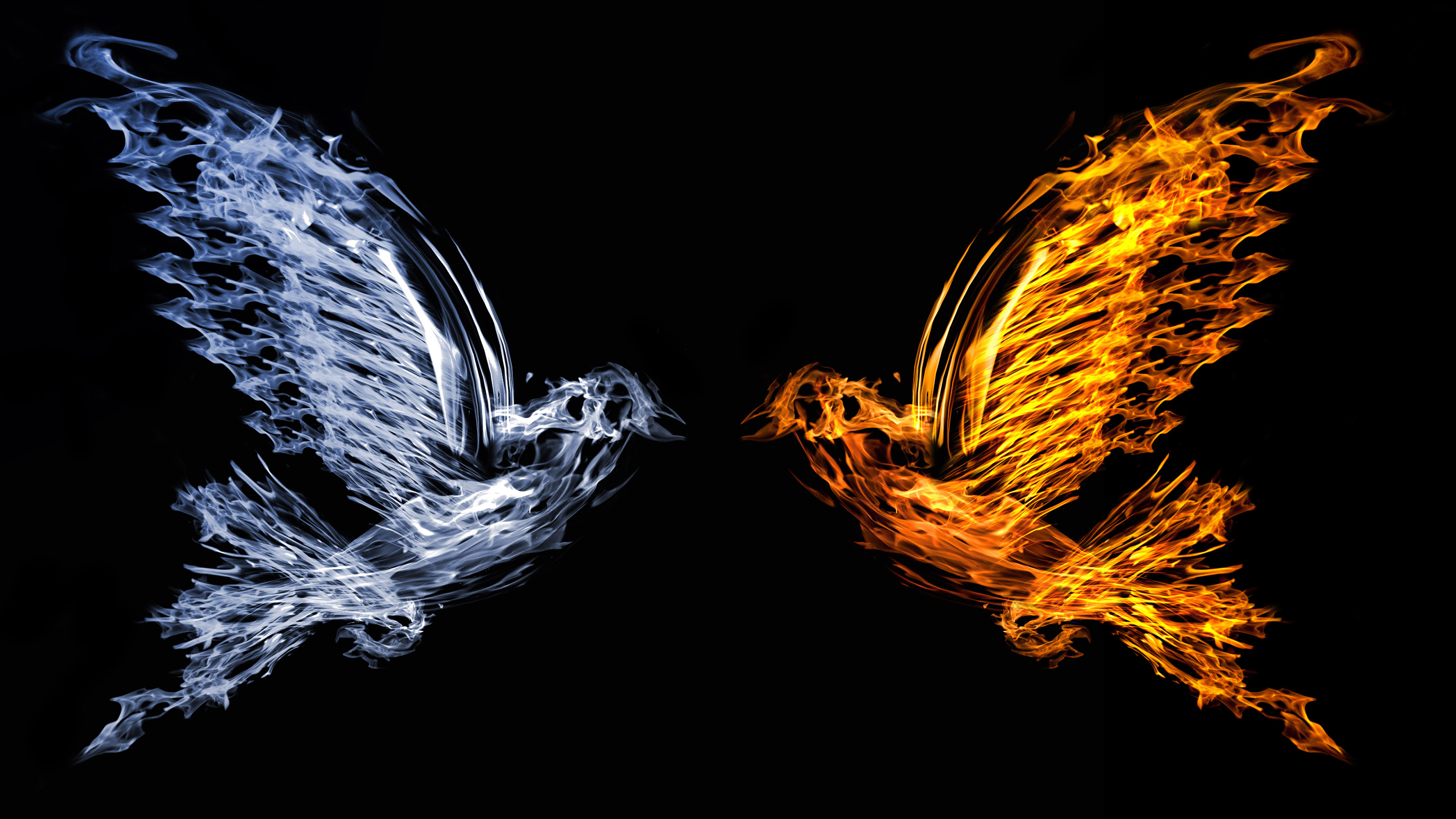 Bird Fire And Water, HD Artist, 4k Wallpapers, Images, Backgrounds, Photos  and Pictures