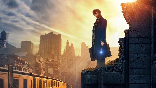 2016 Fantastic Beasts And Where To Find Them Wallpaper