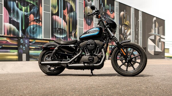 2019 Harley Davidson Iron 1200 Wallpaper
