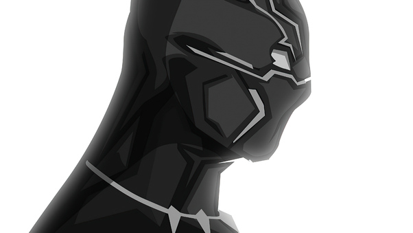 2020 Black Panther 4k Wallpaper