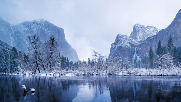 2023 Yosemite National Park 5k Wallpaper