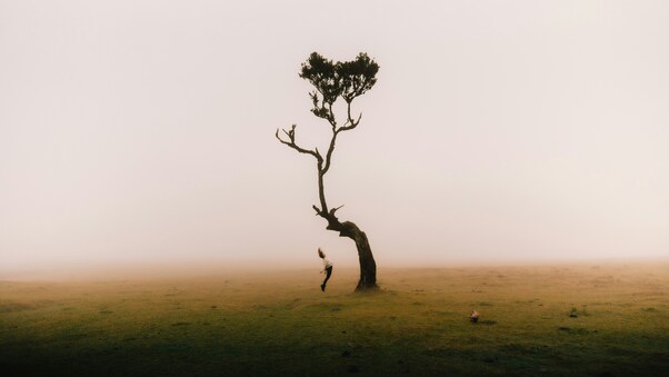 A Lone Tree And Me Wallpaper