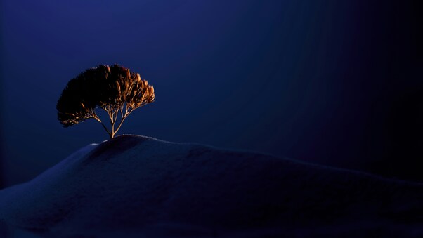 A Lone Tree Sitting On The Top Of Mountains Wallpaper
