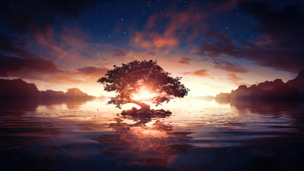 A Lonely Tree In A Surreal Sunrise Wallpaper