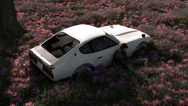 Abandoned Car In Flower Field (3000x2000) Resolution Wallpaper
