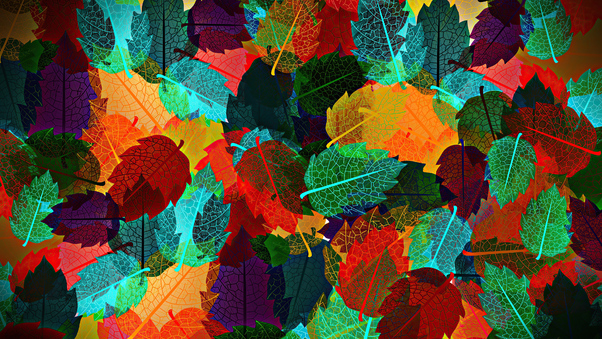 Abstract Autumn Leaves 4k Wallpaper