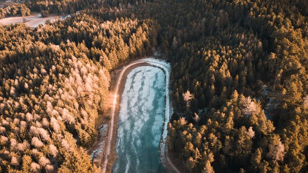 Aerial Photography Trees 4k Wallpaper