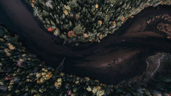 Aerial View Autumn Trees Wallpaper