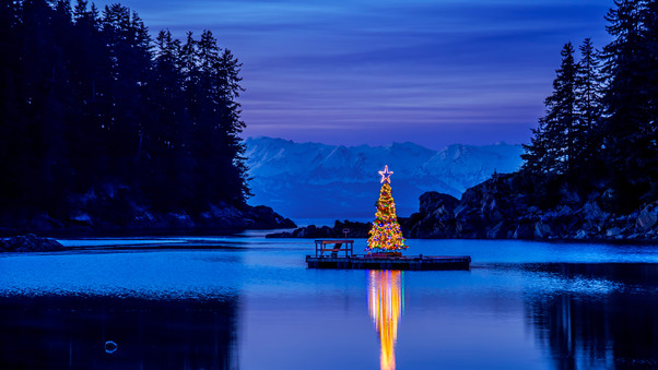 Alaska Amalga Harbor Christmas Tree 10k Wallpaper
