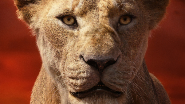 Alfre Woodard As Sarabi In The Lion King 2019 4k Wallpaper