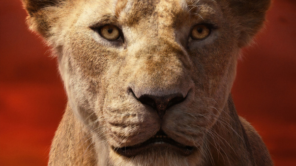 Alfre Woodard As Sarabi In The Lion King 2019 4k Wallpaper,HD Movies