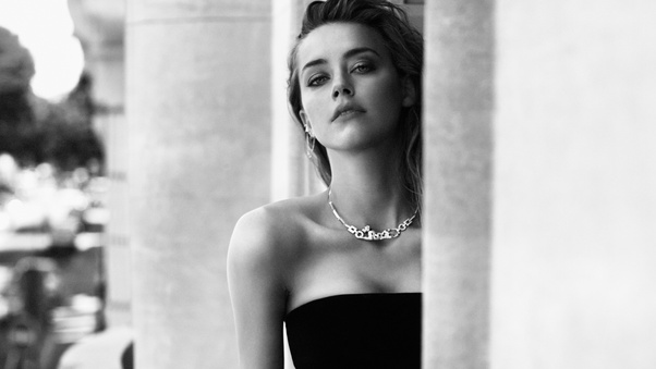 Amber Heard 4k Monochrome Wallpaper