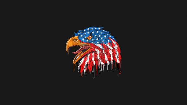 American Flag Eagle Minimal 4k Wallpaper