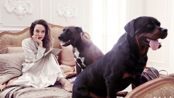 Angelina Jolie Elle Magazine 2019 Wallpaper