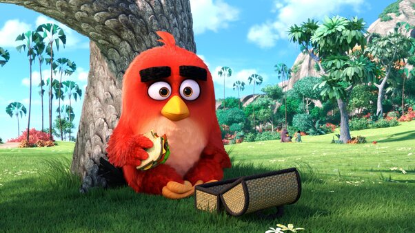 Angry Birds Main Character Wallpaper