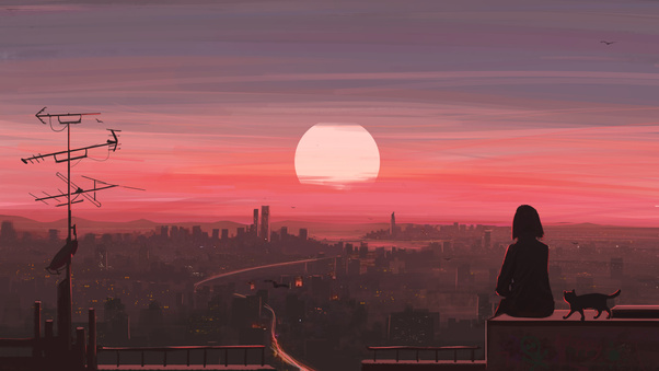 Anime Girl And Cat Watching City Sunset From Rooftop (1280x720) Resolution Wallpaper